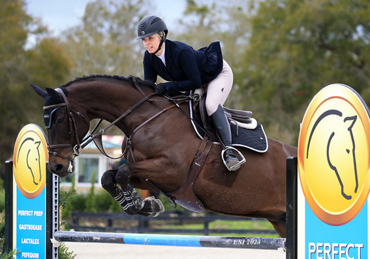 Adult Jumper at VT Summer Festival Horse Show