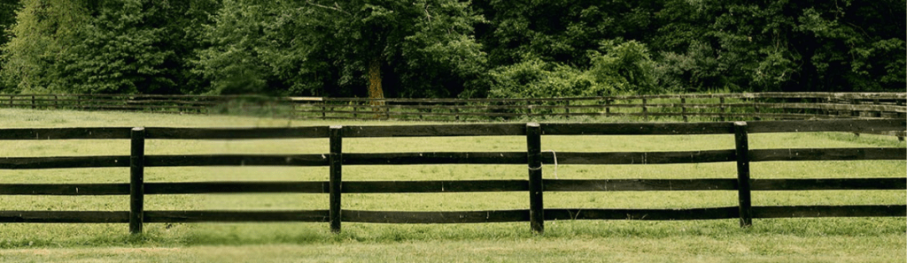 Double B Stables Field at Epic Farm - Horse Farm - CT