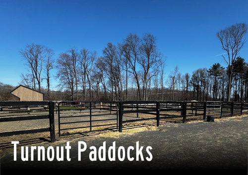 Turnout paddocks at Epic Farm in Middlefield, CT