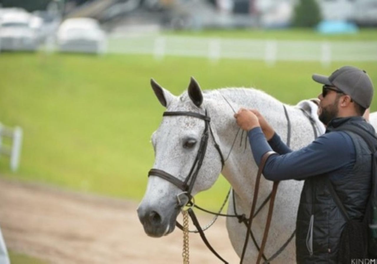 Groom with Hunter Horse at Horse Show