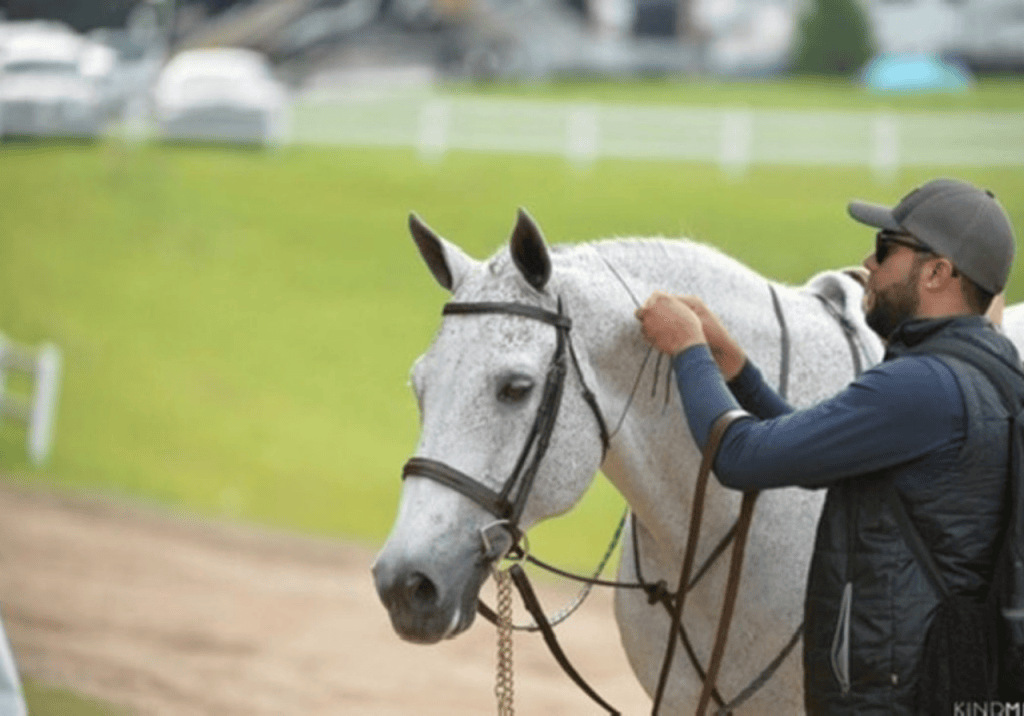 Groom with Hunter Horse at Horse Show