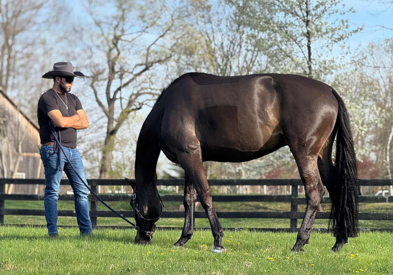 Man in cowboy hat grazing horse in CT